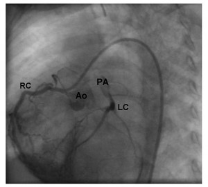 fig 6-7-4-21